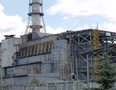 Miniatura: Nowe dane - Fukushima była sześć razy...