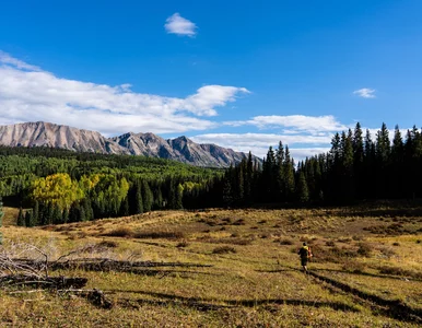 Miniatura: Zidentyfikowano ciała trójki osób w Górach...