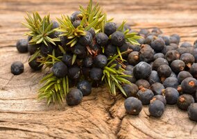 Miniatura: Ta babcina przyprawa ratuje żołądek...