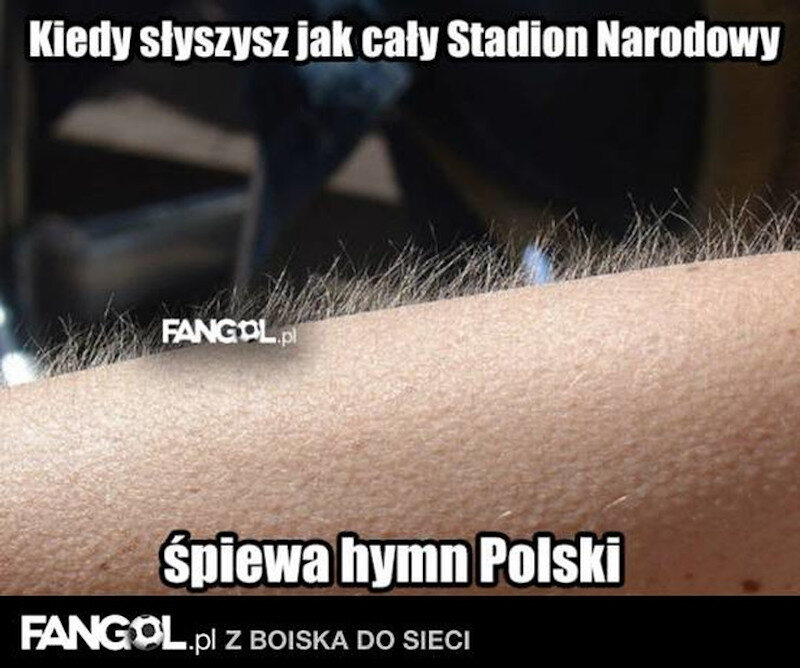 Memy po meczu Polska - Dania 