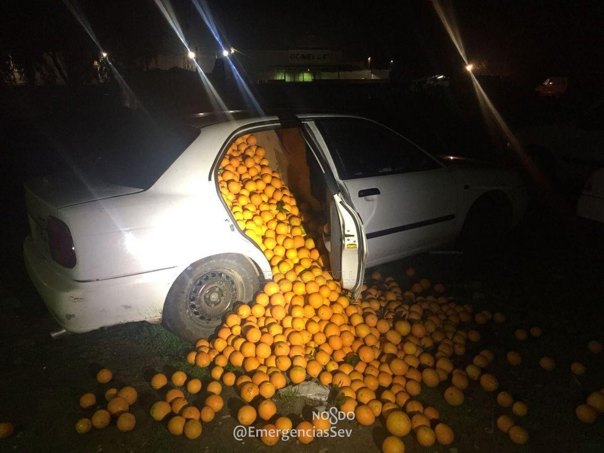 Skradzione pomarańcze wypakowywane przez policjantów 