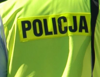 Miniatura: Miał długopis z napisem "policja". Udawał...