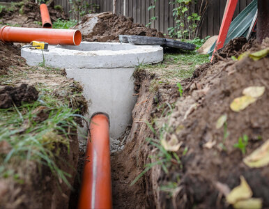 Miniatura: Czerpiesz wodę z własnej studni? Jeden...