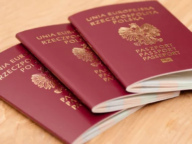 Miniatura: Ukraińcy handlowali fałszywymi dokumentami...