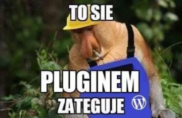 Mem podsumowujący start serwisu Albicla 