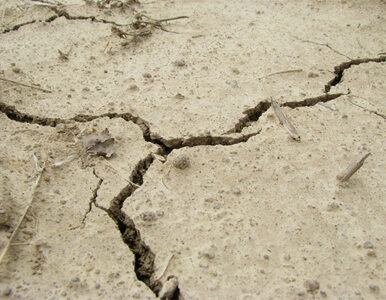 Miniatura: Silne trzęsienie ziemi w Iranie. Są ofiary