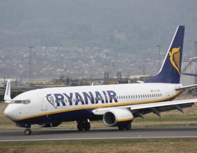 Miniatura: Ryanair wyprosił pasażerkę z pokładu...