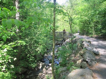 North Woods, jedno z&nbsp;kilku miejsc, w&nbsp;kt&oacute;rych odnotowano przestępstwa