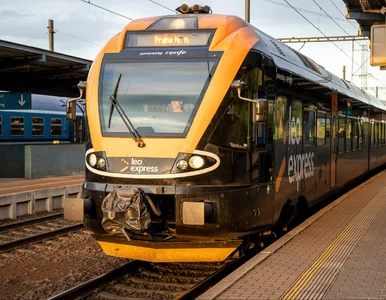 Miniatura: Czeski przewoźnik zostaje w Polsce....