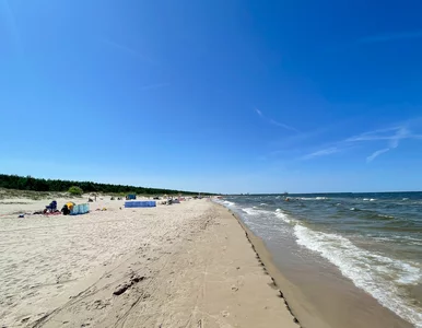 Miniatura: Tony ścieków wpadły do Bałtyku. Turyści...