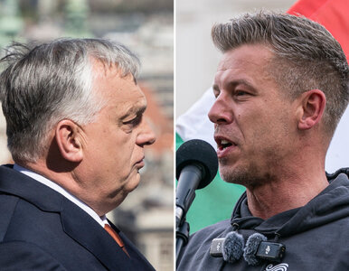 Miniatura: Kto wygra wybory na Węgrzech? Wiemy, co...