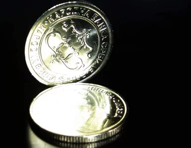 Miniatura: Amerykańskie Amber Gold kończy działalność