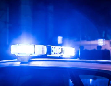 Miniatura: 11-letnia dziewczynka utonęła w Jeziorze...