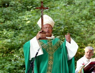 Miniatura: Burza po odważnym liście kard. Rysia....