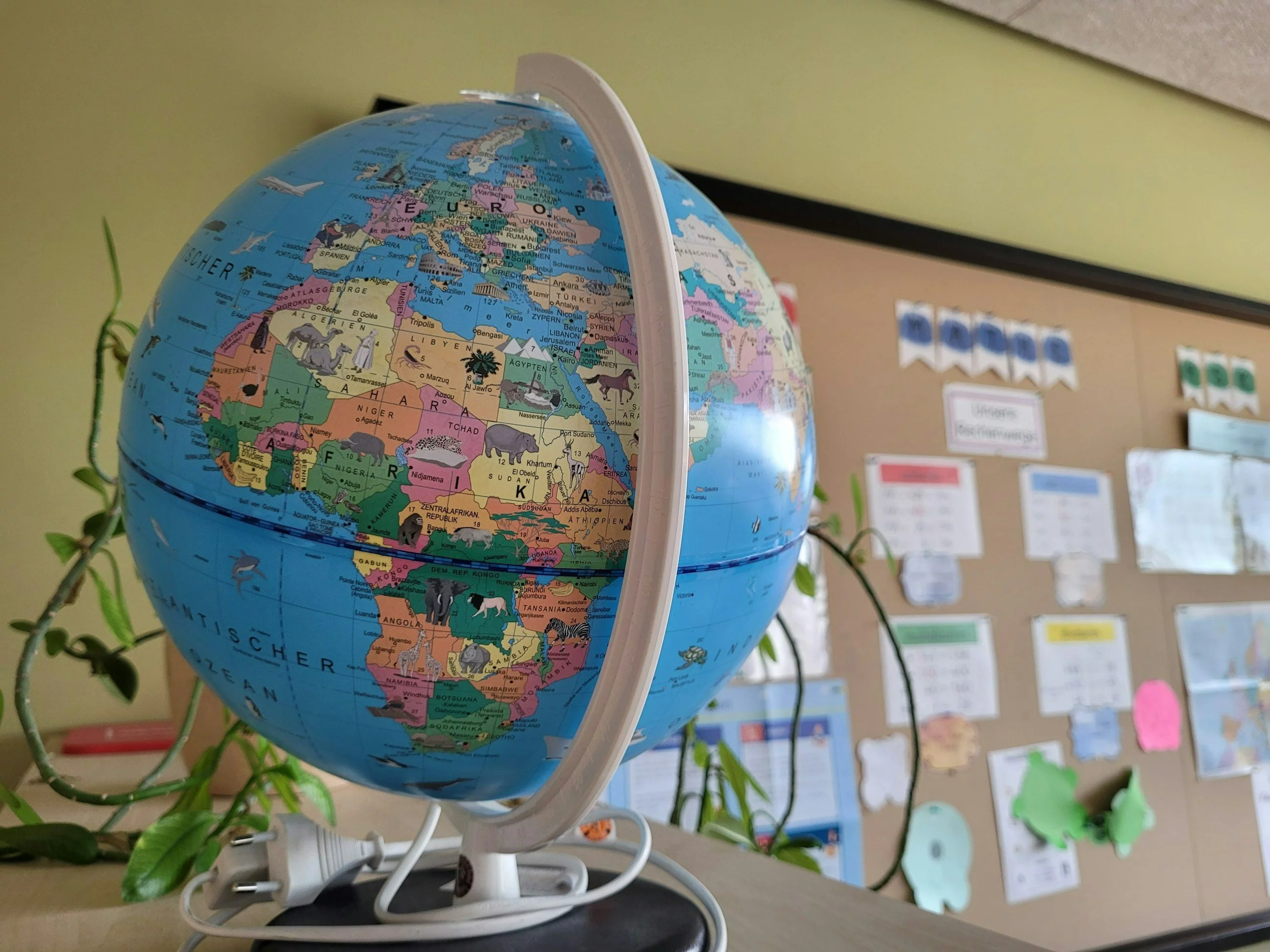 10 pytań z geografii na poziomie podstawówki. Podołasz?