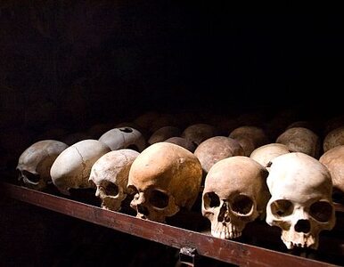Miniatura: Wojskowi winni ludobójstwa w Rwandzie skazani