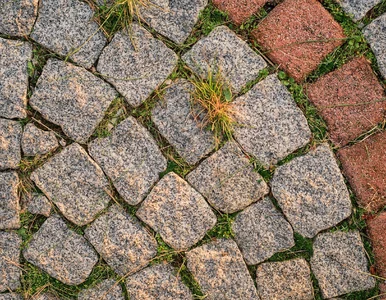 Miniatura: Po deszczach chwasty wychodzą z każdej...