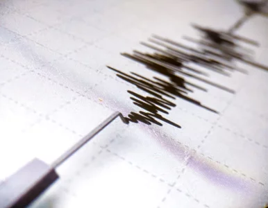 Miniatura: Ziemia zadrżała pod Bełchatowem. Wstrząs w...