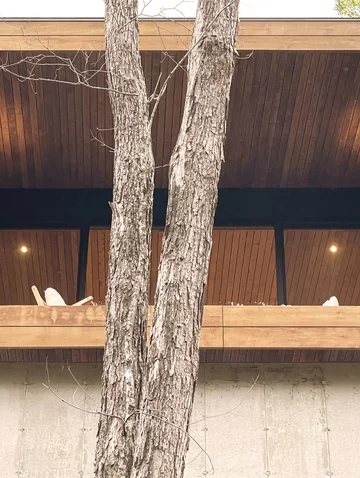 Domek w lesie, projekt  L’Empreinte Design Architecture v2com, 6639-01