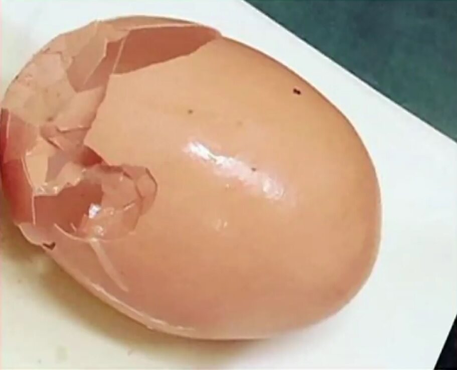 Jajko zniosła kura rolnika Scotta Stockmana 