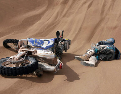 Miniatura: Dakar: motocyklista zderzył się z bykiem....