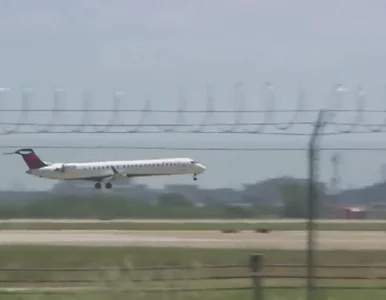 Miniatura: Tarantula na pokładzie samolotu. Pilot...