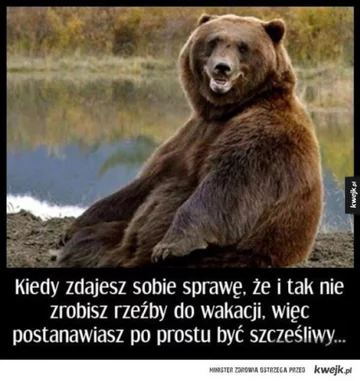 Mem dotyczący odchudzania 