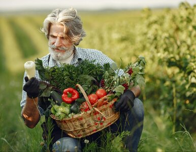 Miniatura: Długi rolników. Problemy z płynnością...