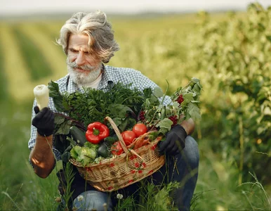 Miniatura: Długi rolników. Problemy z płynnością...