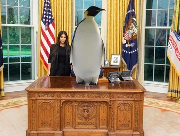 Pingwin zamiast Trumpa 