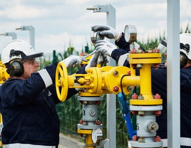 Wspólne zakupy gazu w UE jeszcze tej wiosny? Dziś „kolejne kroki"