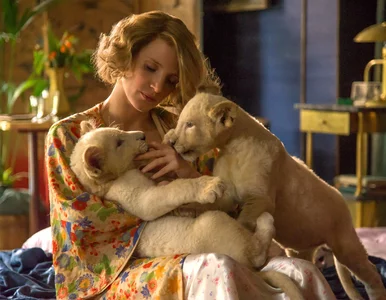 Miniatura: AZYL - kameralna historia z wielką wojną w...