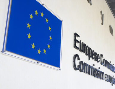 Miniatura: Komisja Europejska chce ukarać Polskę