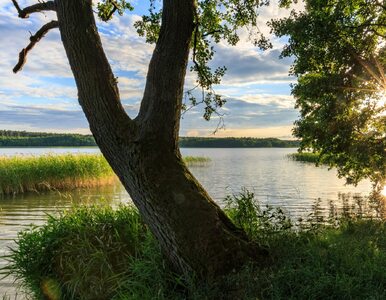 Miniatura: To najpiękniejsze jezioro w Polsce....