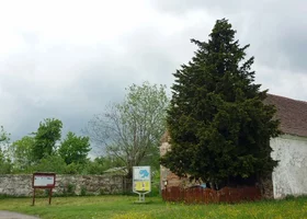 Miniatura: Znasz te miejsca w Polsce? Zawalcz o 100...