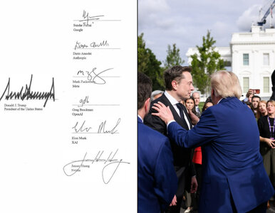 Miniatura: „Unites States”. Wpadka w porozumieniu...