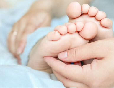 Miniatura: 1,5-roczny chłopiec molestowany przez obcą...