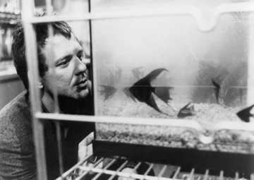 Mickey Rourke w „Rumble Fish” (1983) 