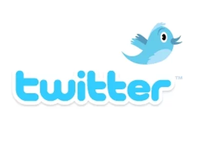 Miniatura: Dźwig runął i... zaczął ćwierkać