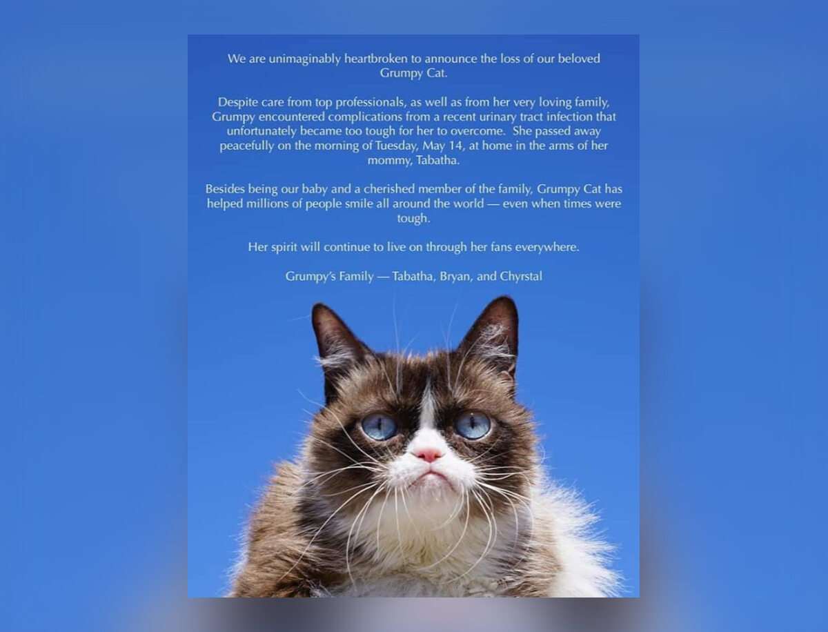 Oświadczenie o śmierci Grumpy Cata 