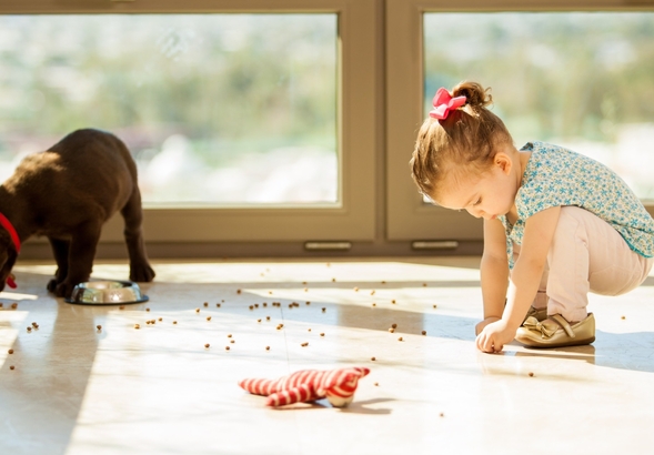 Miniatura: Dzieci zakaziły się salmonellą przez karmę...