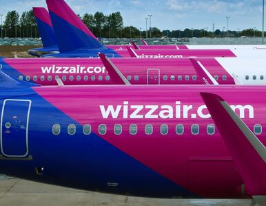 Miniatura: Tanie loty z Polski dzięki Wizz Air....