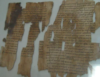 Miniatura: Odkryto tajemnicę rękopisów znad morza...