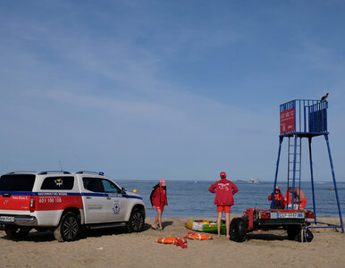 Miniatura: Akcja ratunkowa na plaży w Karwi....