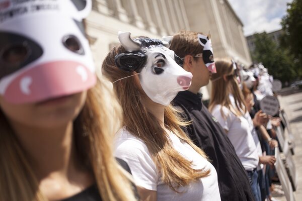 Miniatura: Uczestnicy akcji “Stop Transportowi Żywych...