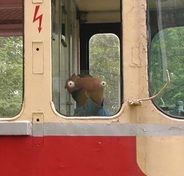 Łokieć patrzy, ręka patrzy... 