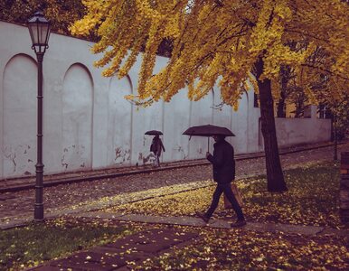 Miniatura: Pogoda na najbliższe siedem dni. Gwałtowny...