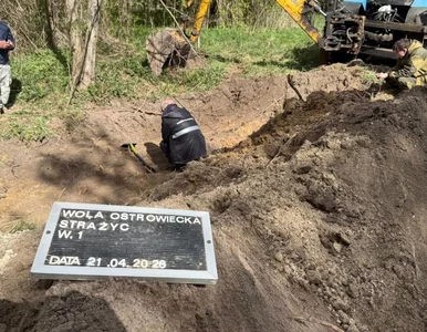 Miniatura: Szokujące odkrycie na Wołyniu. Trafili na...