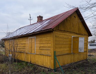 Miniatura: Ojciec zabił matkę na jej oczach i odebrał...