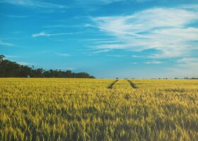 Miniatura: 10 haseł rodem z krzyżówki. Odgadniesz...